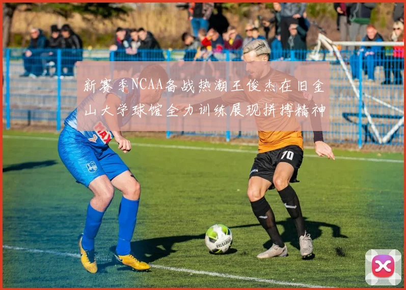 新赛季NCAA备战热潮王俊杰在旧金山大学球馆全力训练展现拼搏精神